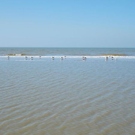 Familie Zwinkels Apartment Zandvoort Ngoại thất bức ảnh