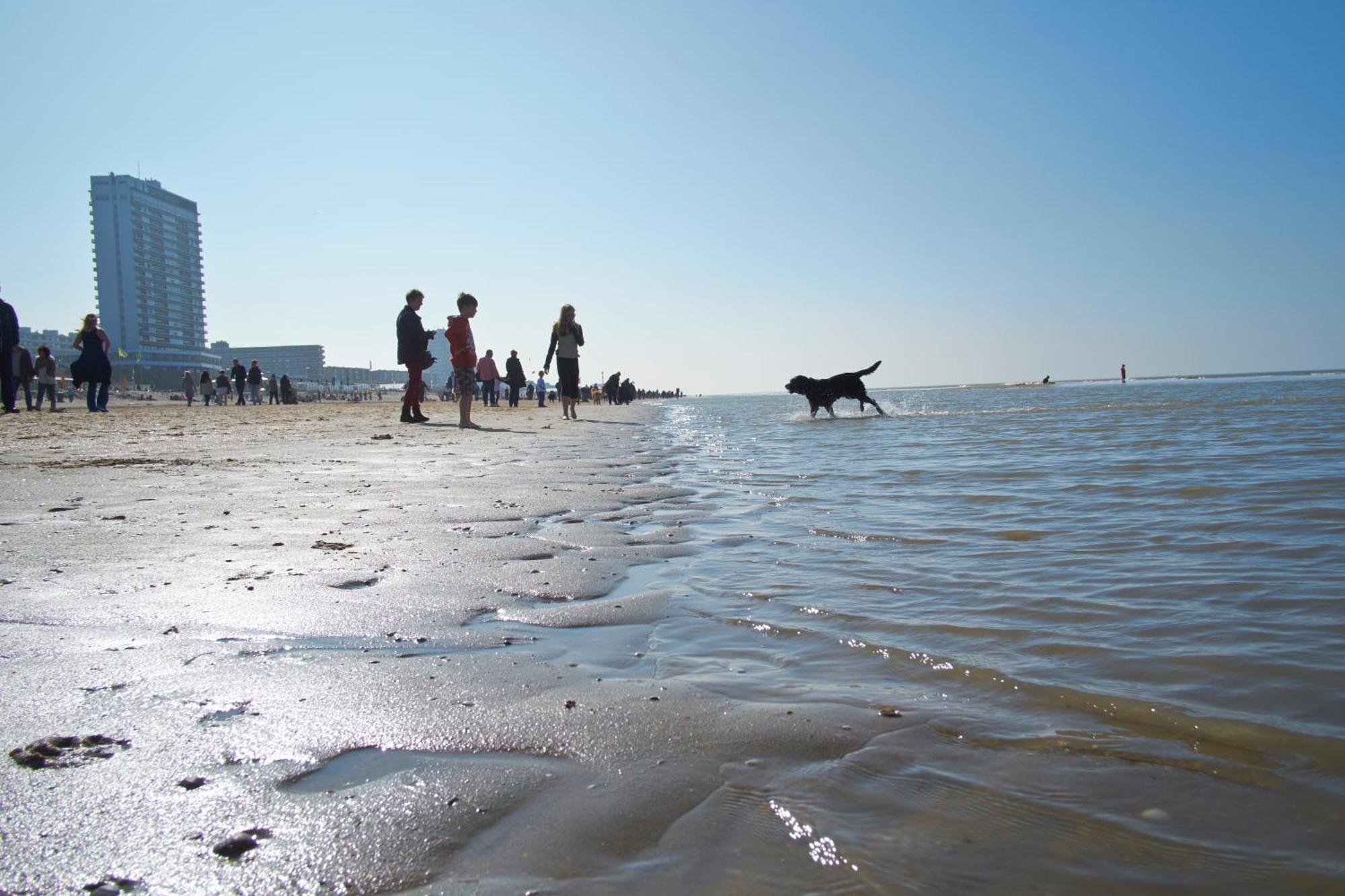 Familie Zwinkels Apartment Zandvoort Ngoại thất bức ảnh
